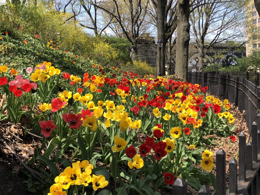 columbia-university-department-of-statistics-m-a-programs-last-day